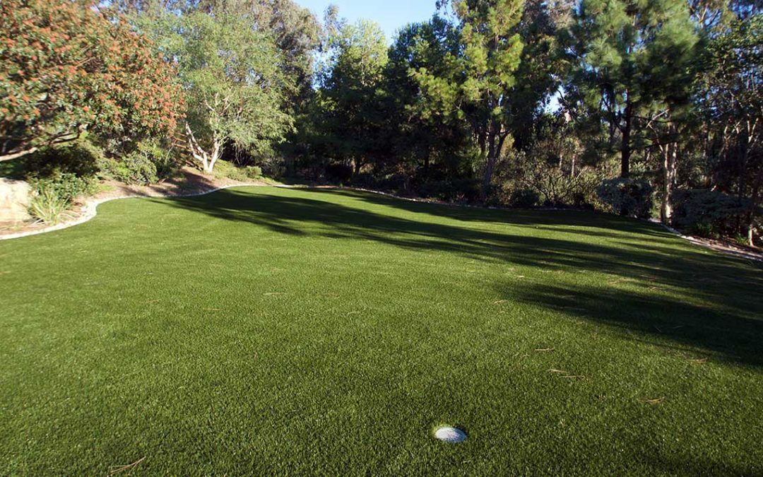 Help the Planet by Switching to Artificial Grass